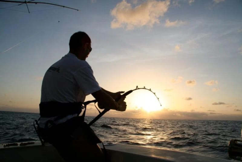 Choose the Best Time to Fish