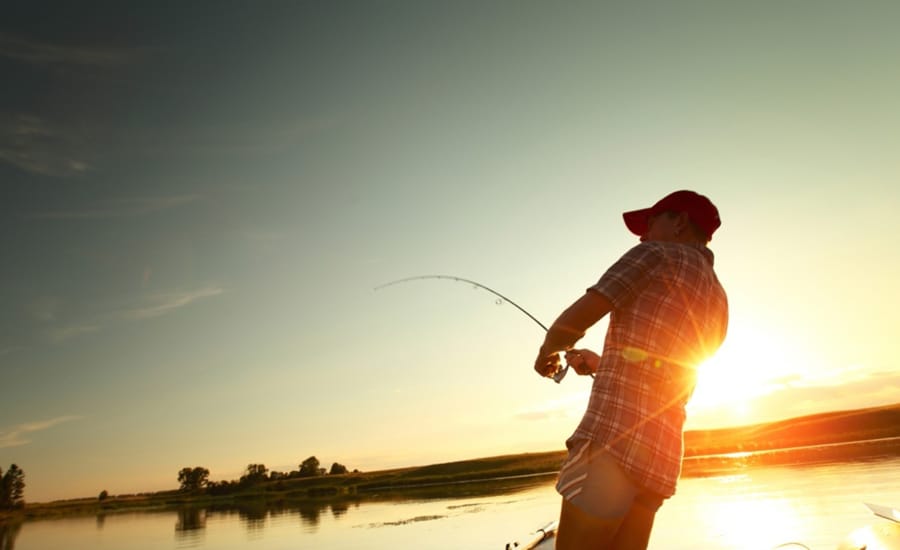 Why Is Fishing in Vung Tau So Popular